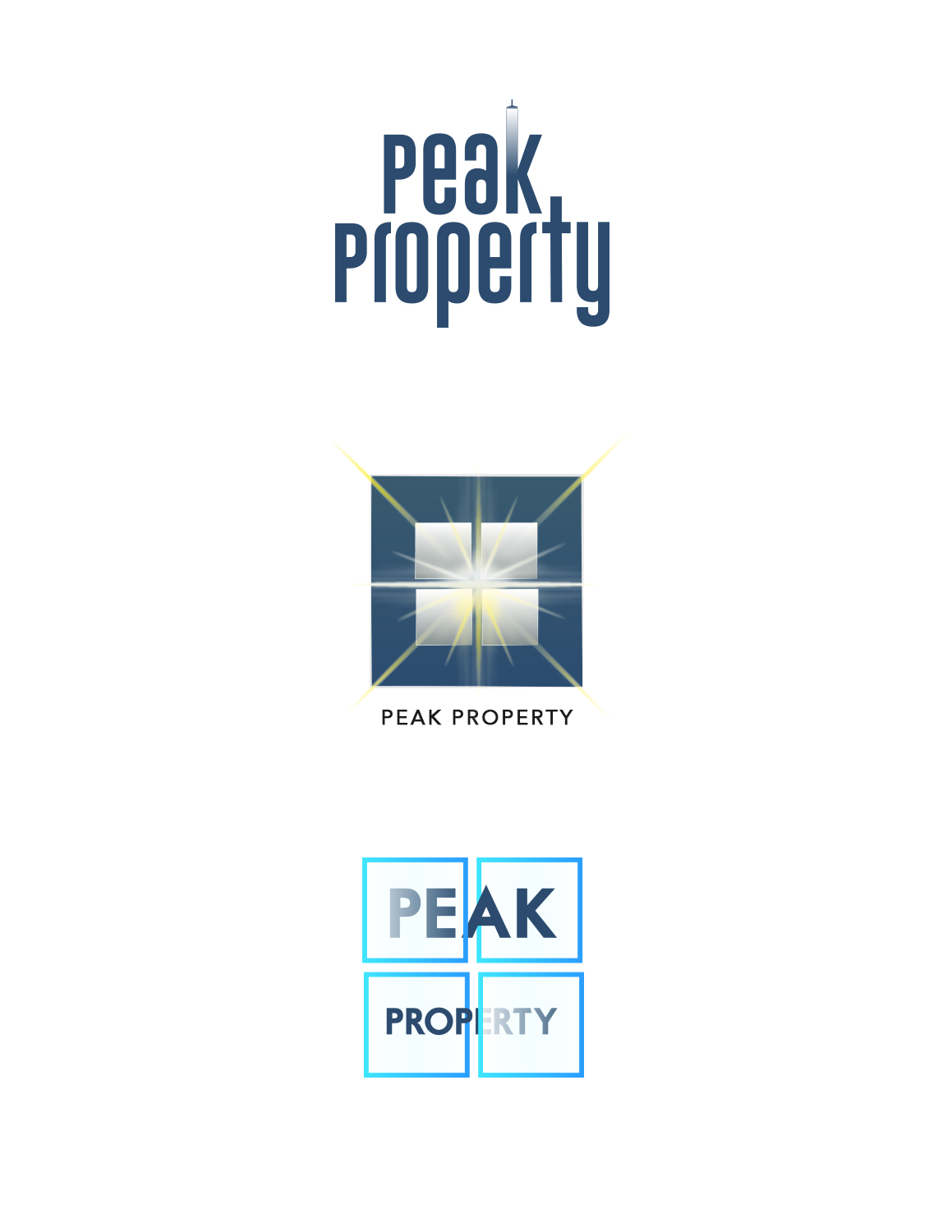Logo Design by Club Flyer Studios for Peak Property | Design #18067461