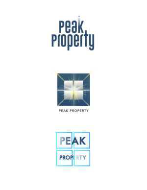 Logo-Design von Club Flyer Studios für Peak Property | Design #18067461
