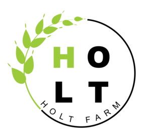 Logo Design by Morgan 3