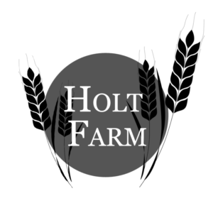 Logo Design by TaraAlexandraB