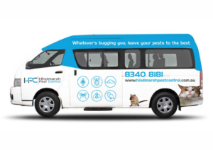 Car Wrap Design by ecorokerz