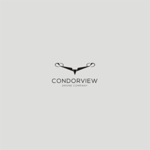 CondorView Aerial Solutions | Diseño de Logo por Alexandar