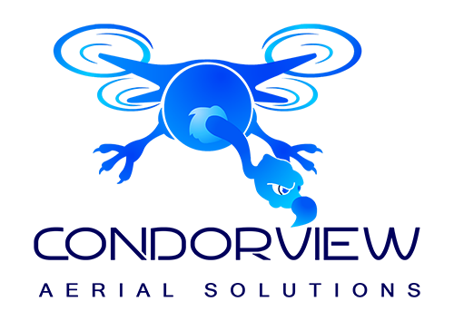 Logo-Design von Shiji für dieses Projekt | Design #18117841