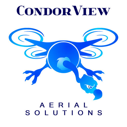 Logo-Design von Shiji für dieses Projekt | Design #18117842