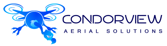 Logo-Design von Shiji für dieses Projekt | Design #18118023