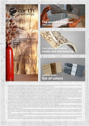 Flyer-Design von Svetlin Angelov für dieses Projekt | Design: #649250