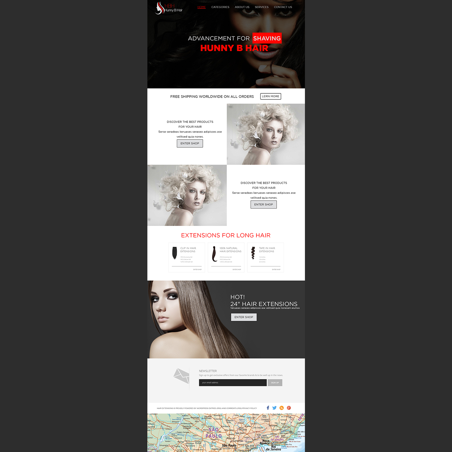 Web Design par seobizplanet1 pour HunnyB Hair | Design #18080424