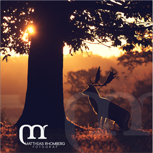 Logo Design by Hivecomm for Matthias Rhomberg . fotograf | Design: #2776481