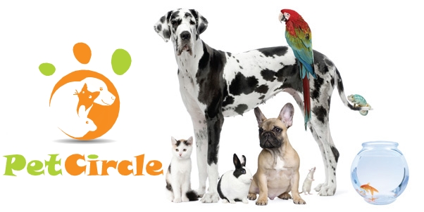 Diseño de Logo por cocodesign para este proyecto | Diseño #2780501