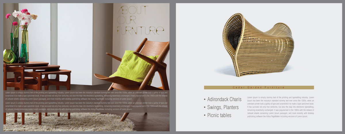 Brochure Design by Biswajit for this project | Design #656779
