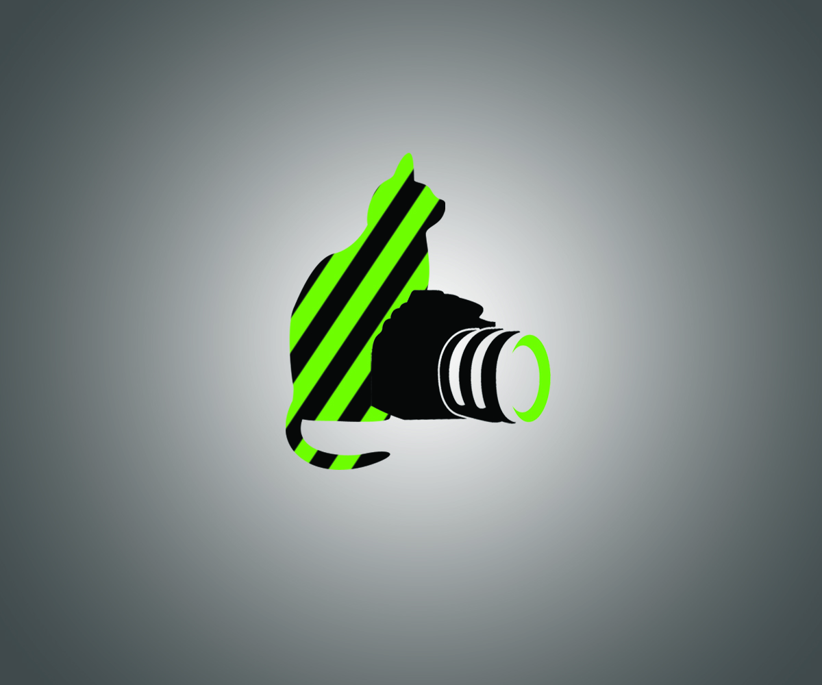 Logo Design by Leica Alexandru for this project | Design #2794645