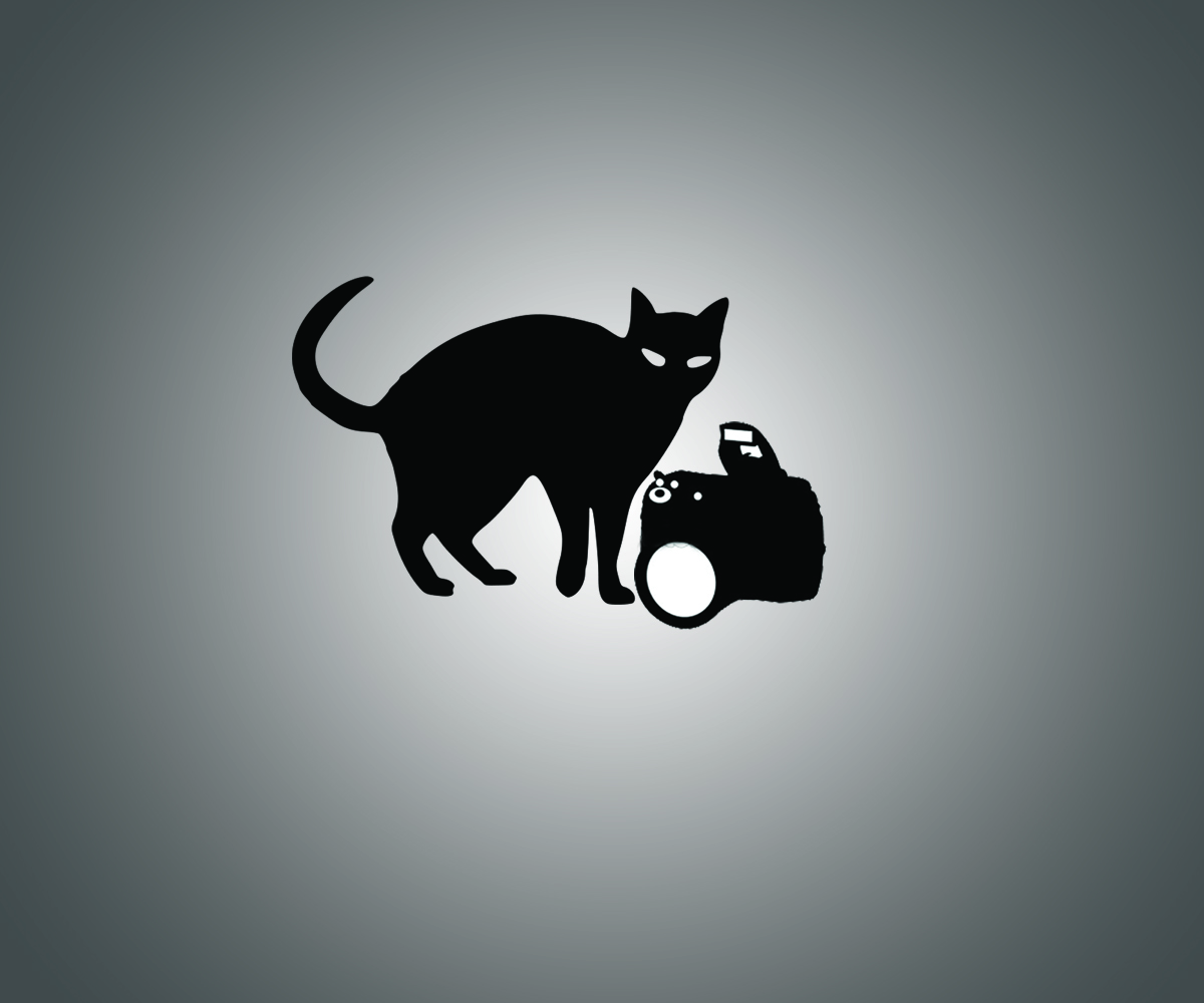 Logo Design by Leica Alexandru for this project | Design #2794697