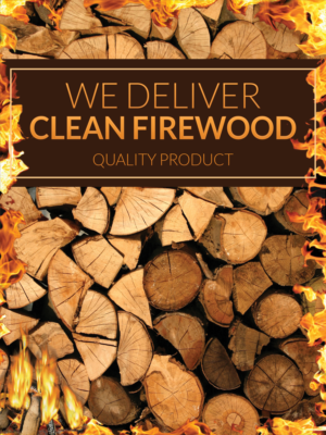 Advertisement Design by leuchi
