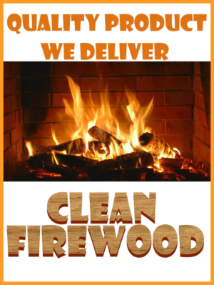 Advertisement Design by mansingp for this project | Design: #18187806