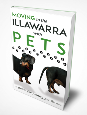Book Cover Design by Mama Guska for this project | Design: #18074002