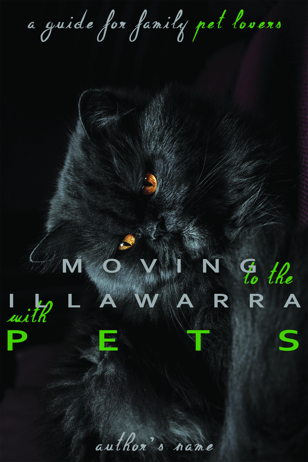 Diseño de portada de libro por Mama Guska para este proyecto | Diseño #18078541