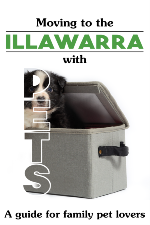 Book Cover Design by Mama Guska for this project | Design: #18128169