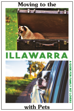 Book Cover Design by Mama Guska for this project | Design: #18173786
