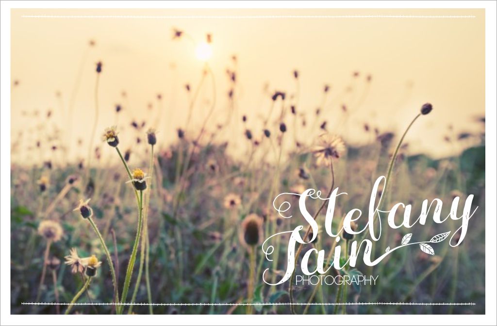 Logo Design by S A N T O C I E L O for Stefany Jain photography | Design #18103857