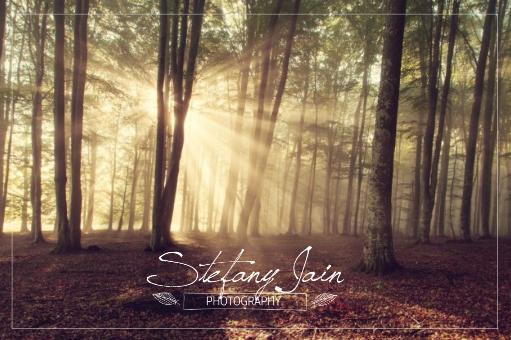 Diseño de Logo por S A N T O C I E L O para Stefany Jain photography | Diseño #18104464
