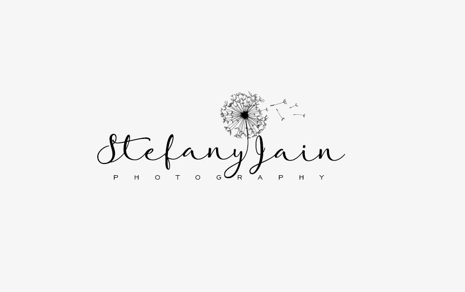 Logo Design by Birdcage for Stefany Jain photography | Design: #18089025