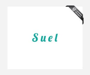 Logo Design by Lioness Designs for this project | Design: #18106478