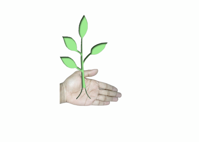 Diseño Gráfico por unique_designer para este proyecto | Diseño #2860576