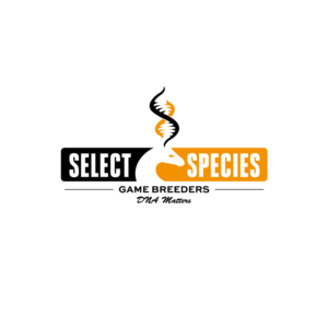 Logo Design by OPX
