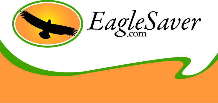 Logo Design by Stellar Designs for this project | Design #46872