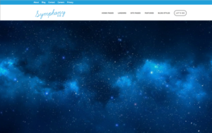 Graphics for Website - Stellar One Consulting