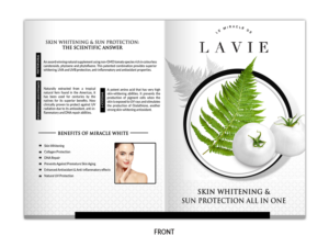 Brochure 2 fold and Trifold | Flyer Design by n214008