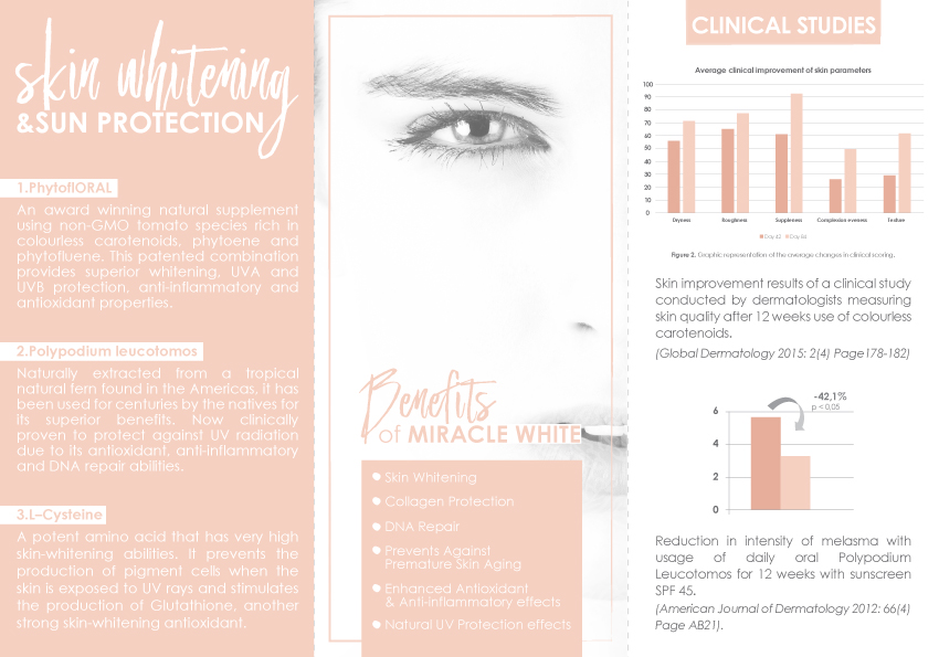 Flyer Design by salma.basictips for this project | Design #18088037