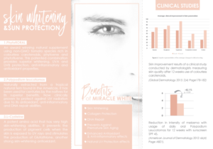 Diseño de Flyer por salma.basictips para este proyecto | Diseño: #18088037