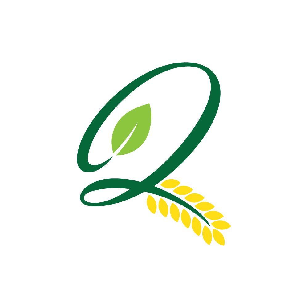 Logo Design by lokiasan for KINGQUEST PTY LTD | Design #18147179