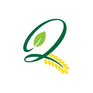 Logo Design by lokiasan for KINGQUEST PTY LTD | Design: #18147179