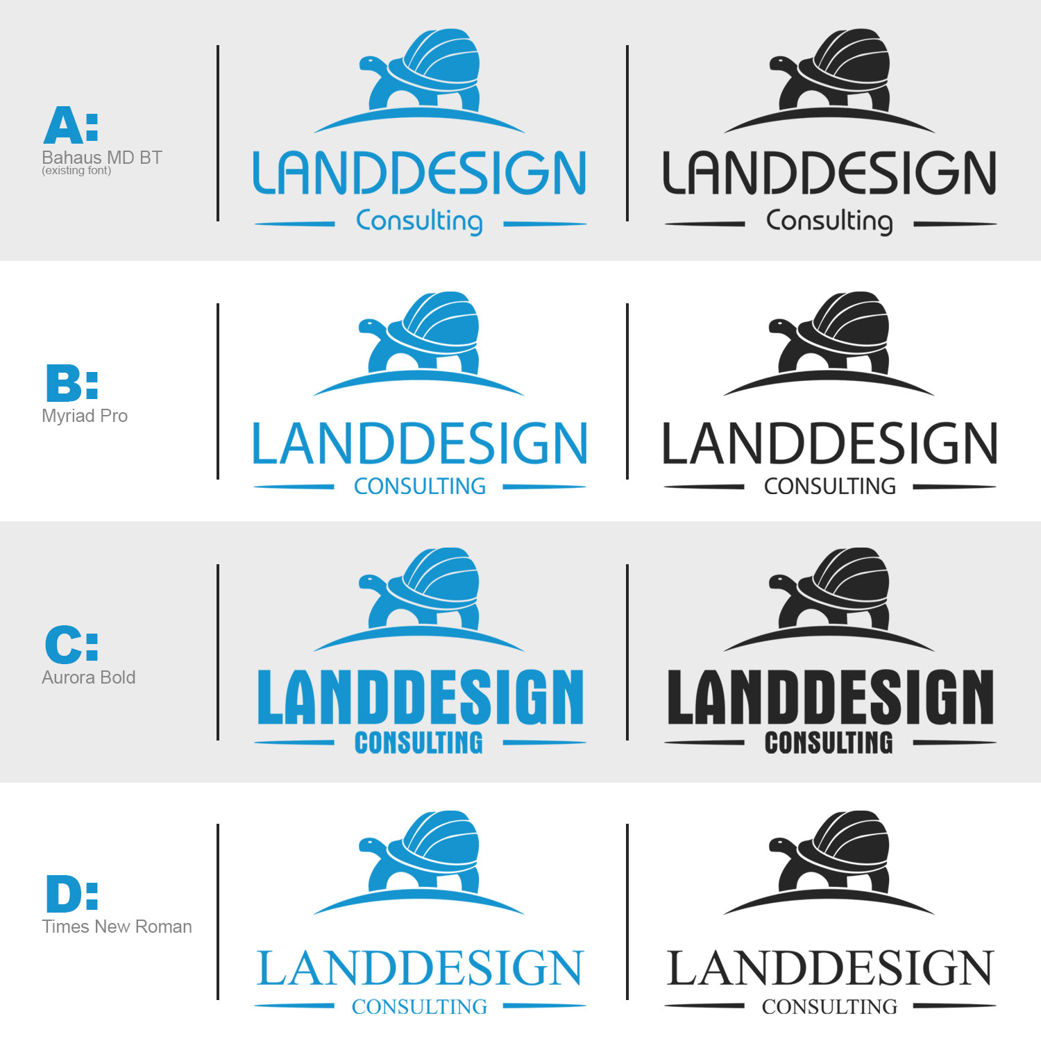 Logo Design by Classgraphics11 for LandDesign Consulting | Design: #18111078