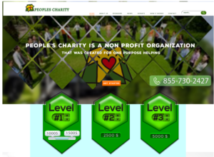Web Design by Grebowiec Peter for Peoples Charity | Design: #18086991