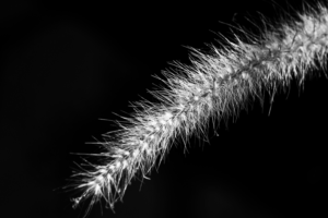 Photography by Amit S.
