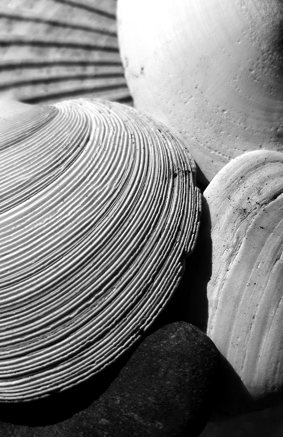 Photography by Elemental Creative for DesignCrowd (Community Contests) | Design #18152080