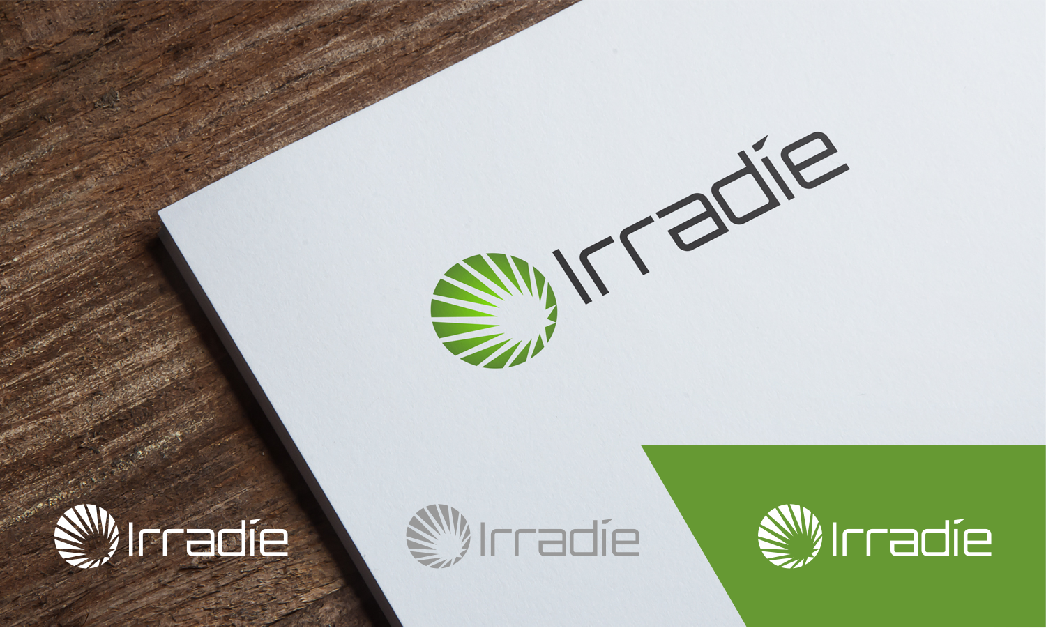 Logo Design by DoMadic for Proyectos de Energia Aplicada, S.A. de C.V. | Design #18186364