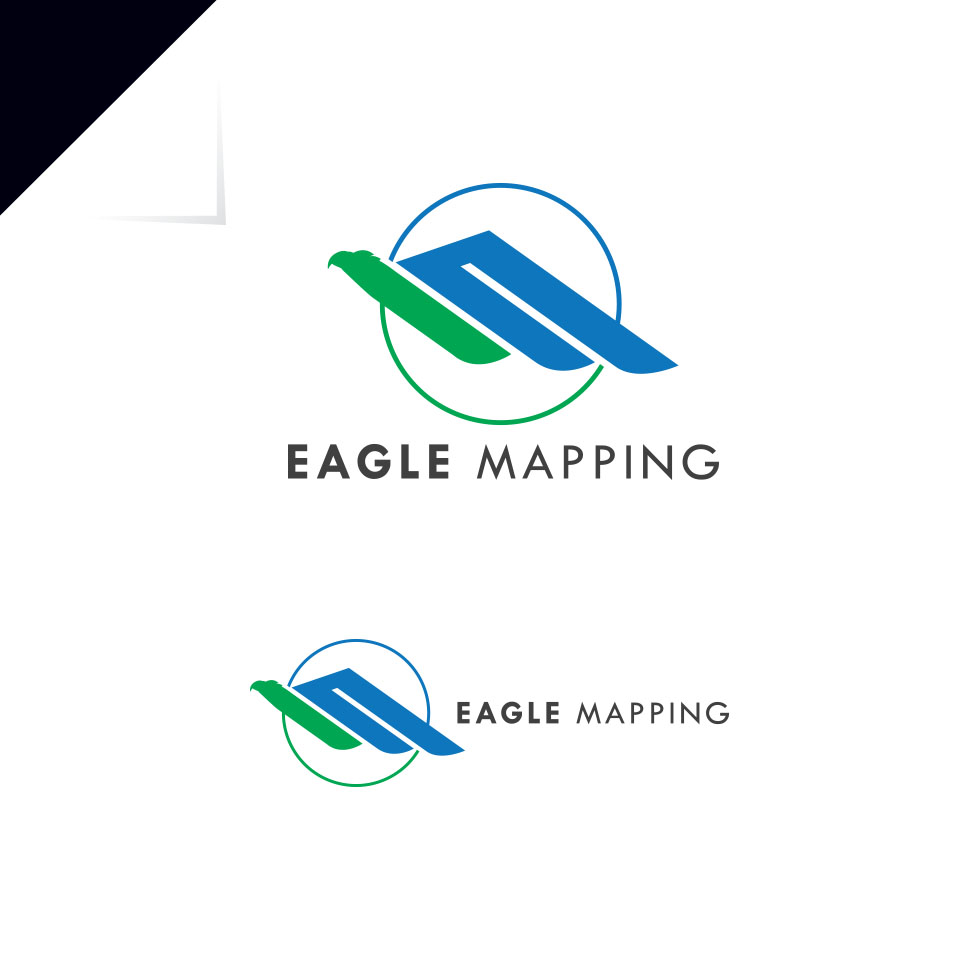 Logo Design by 3i55ej for Eagle Mapping Ltd. | Design #18186953