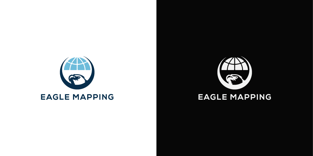 Logo Design by Mime Artworks for Eagle Mapping Ltd. | Design #18187914