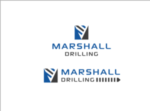 Logo Design by Titudesign