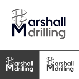 Logo Design by Gameshunt