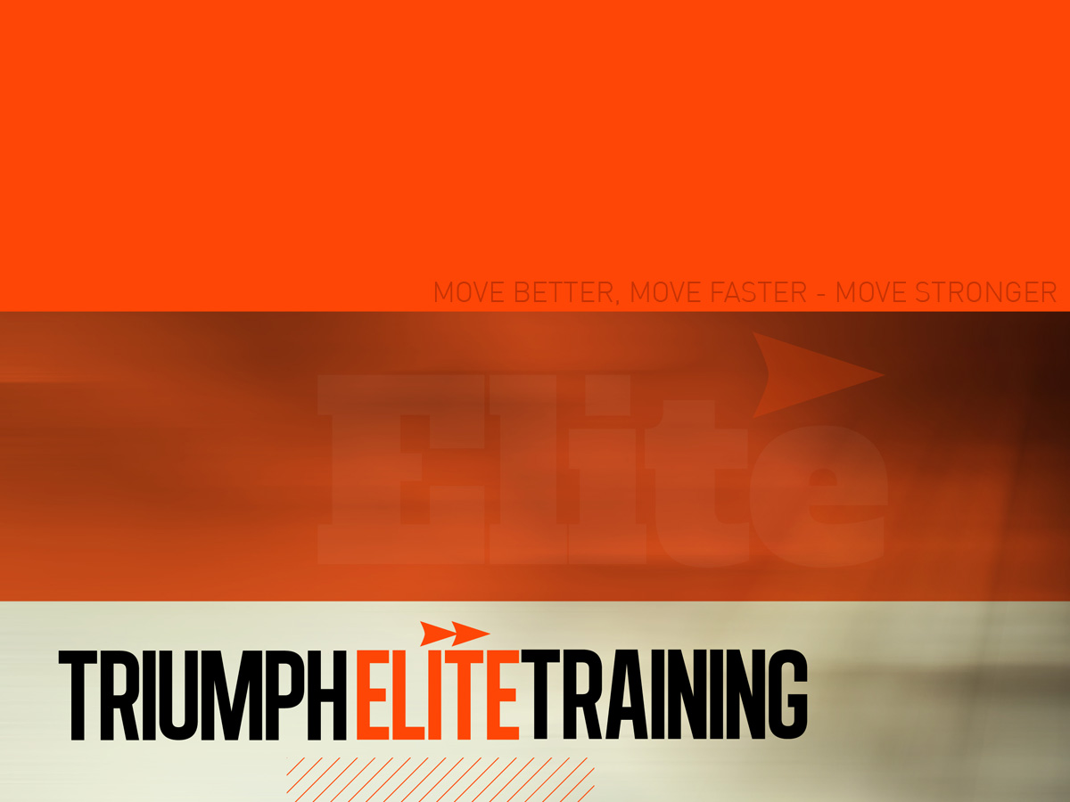 Design de Logo par Vectostyler pour Triumph Elite | Design #2822500