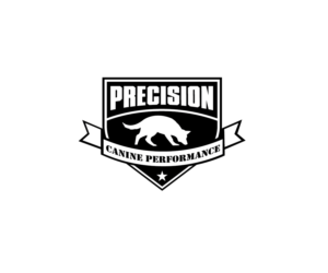 Logo Design by renderman