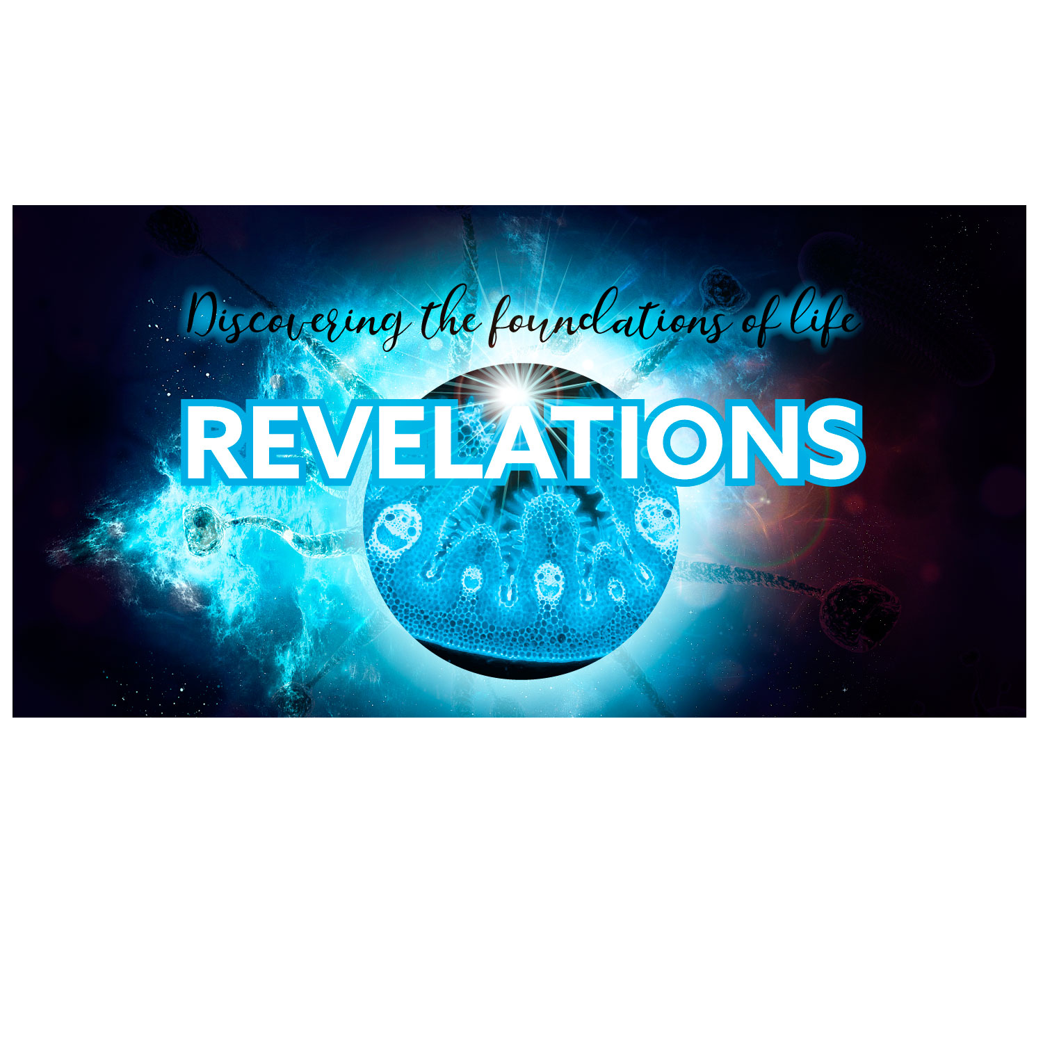 Graphic Design by at-as for this project | Design #18185446