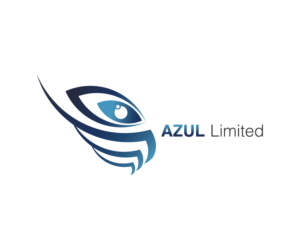 Logo Design by Brichson