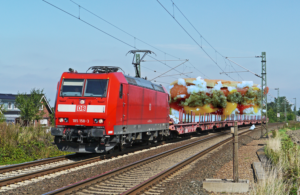 Photoshop Design by Manson Nellum