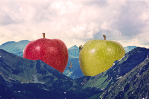 Photoshop Design by Carolina LaFurno